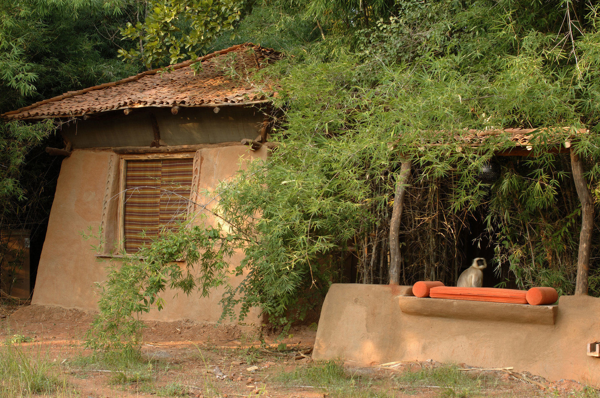 Mahua Kothi Hotel Tāla Exterior foto